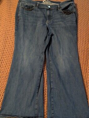Lane Bryant Boot Cut